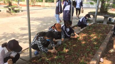 Buổi lao động đầy ý nghĩa của cô trò lớp 11A3