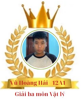 Học sinh đat giải HSG cấp tỉnh năm 2024-2025
