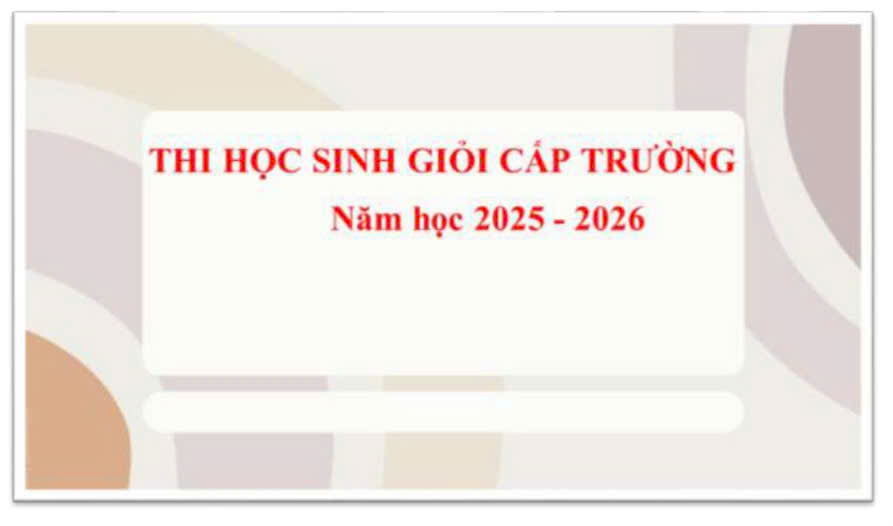 Thi Học sinh giỏi cấp trường khối 11, 10 năm học 2025 - 2026